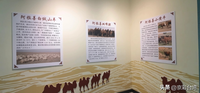 5f45c7f0aa234dfea024354c5dc13073_tplv-obj_5408_2512